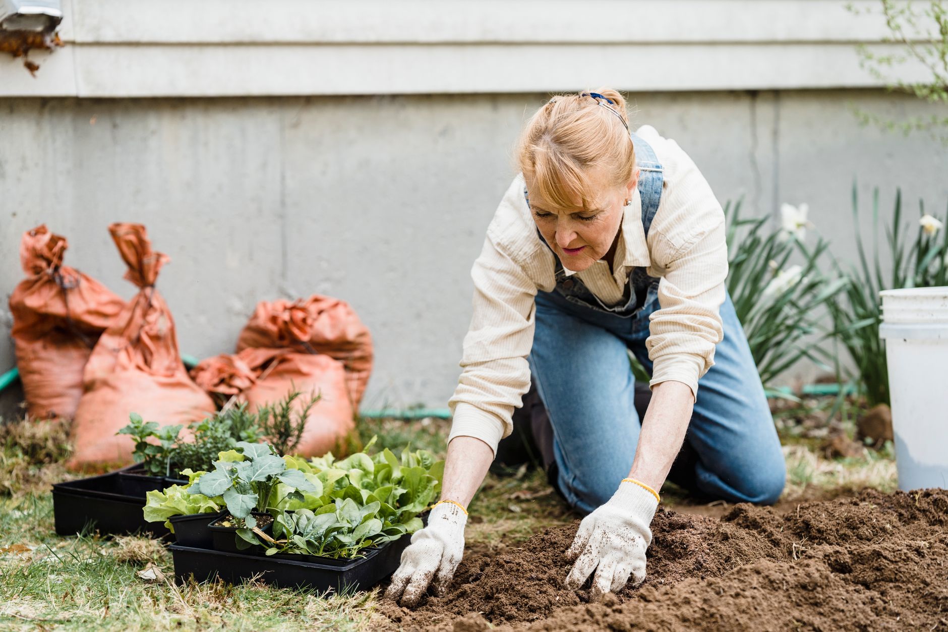 An older woman in denim overalls and work gloves kneels in a backyard garden, setting out vegetable seedlings in fresh soil