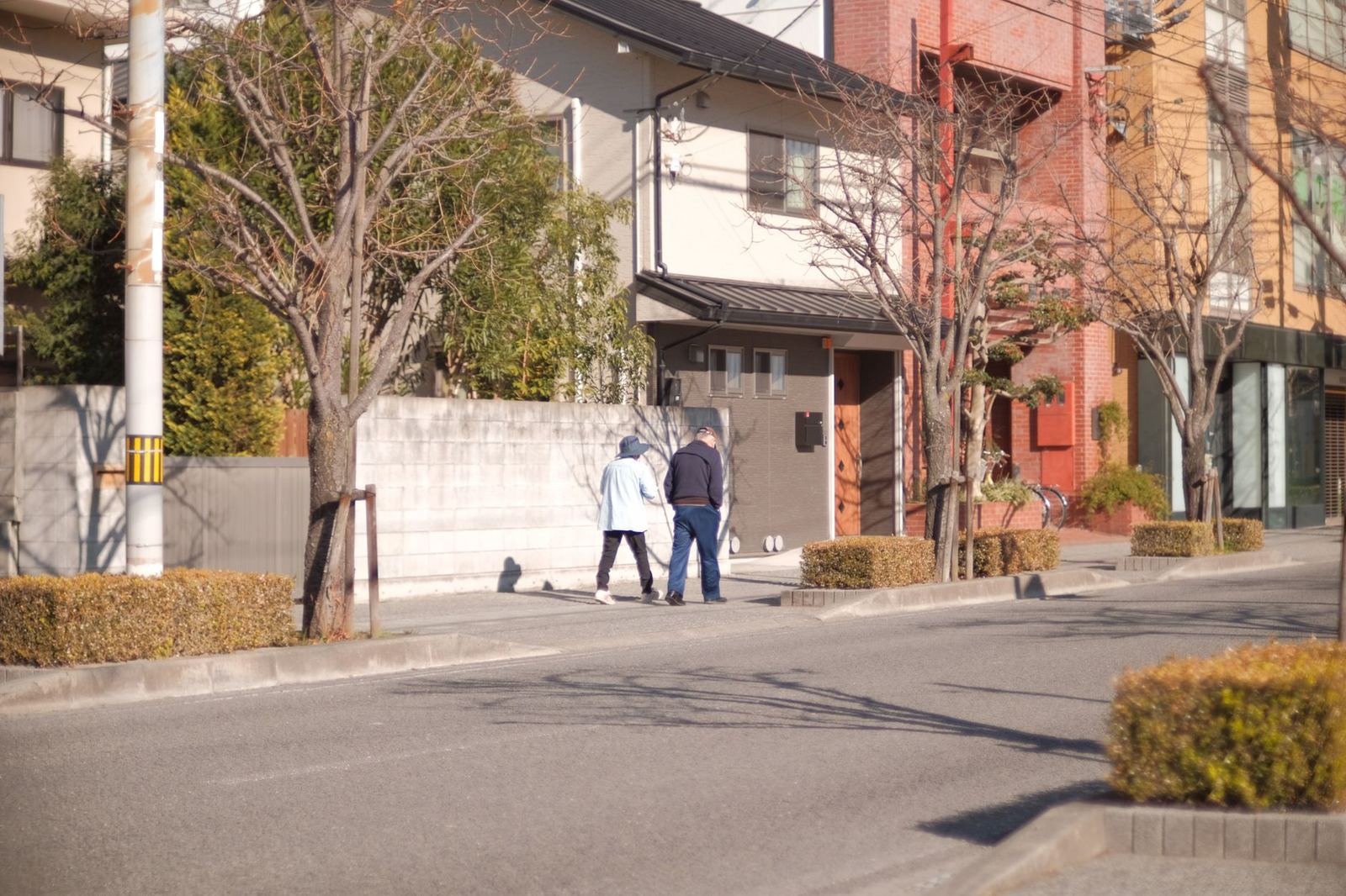 An older couple in hats and jackets walk side by side along a sunny residential sidewalk lined with trees