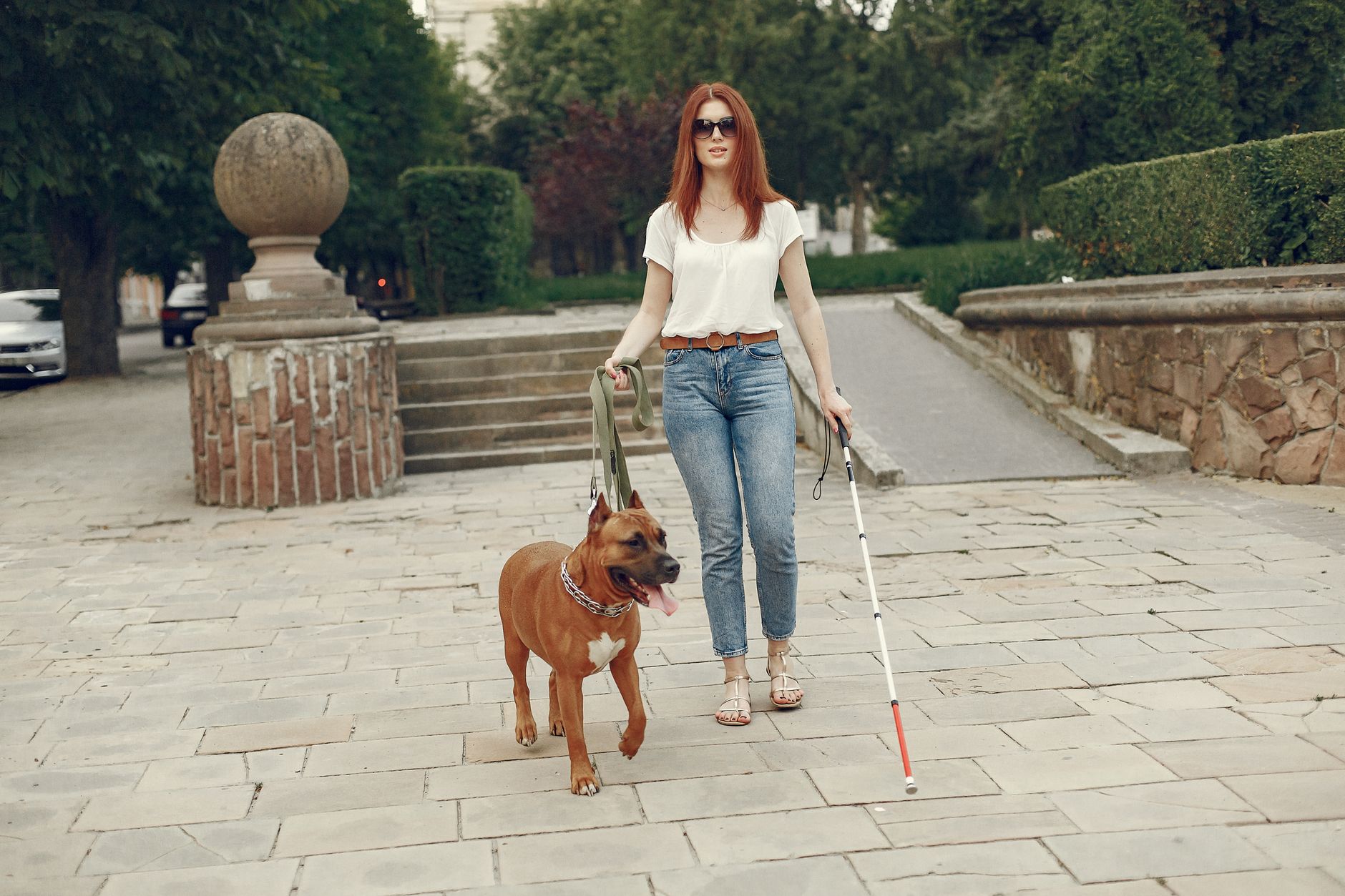 A woman wearing sunglasses walks along a stone park path holding a white cane in one hand and her dog's leash in the other